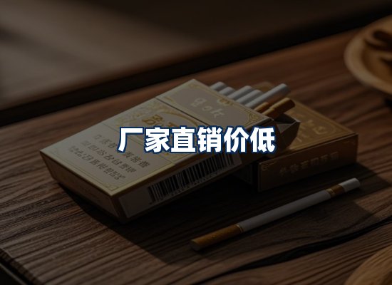 专业团队办公环境